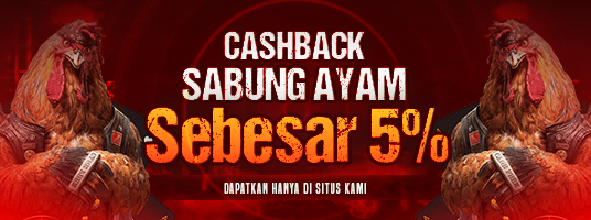 cashback-sabung-ayam-5